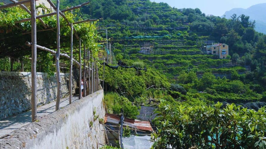 Amalfi Coast: Hike Along the Path of the Lemons - Finishing beside the Basilica of Santa Trofimena