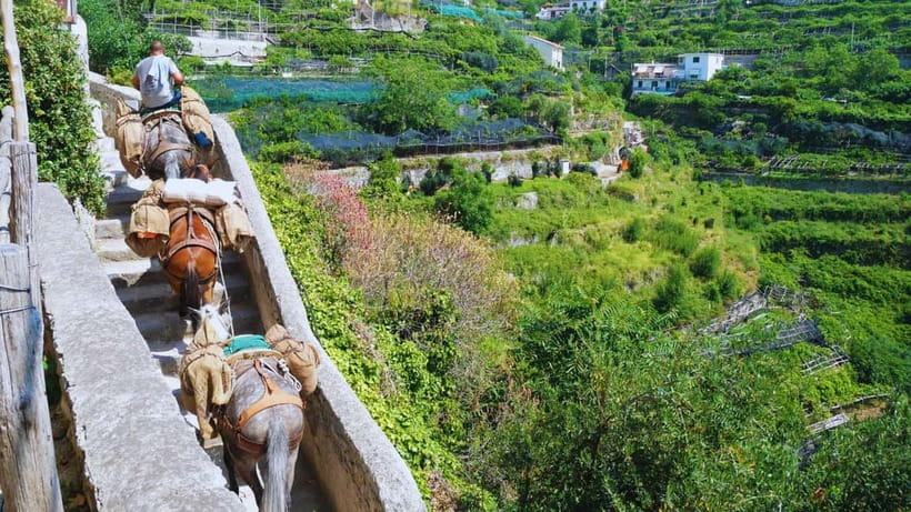 Amalfi Coast: Hike Along the Path of the Lemons - What the $55 price includes