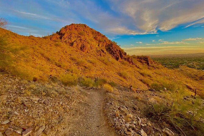 Amazing 2-Hour Guided Hiking Adventure in Phoenix, Arizona - Cacti, flowers, wildlife, and the story of the rocks