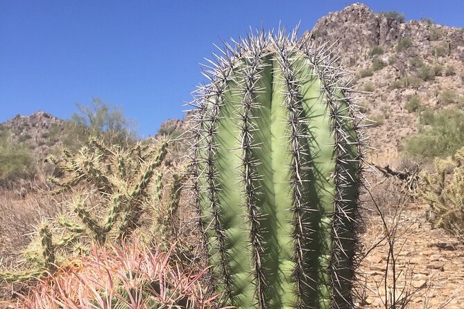 Amazing 2-Hour Guided Hiking Adventure in Phoenix, Arizona - Gear, water, and heat management