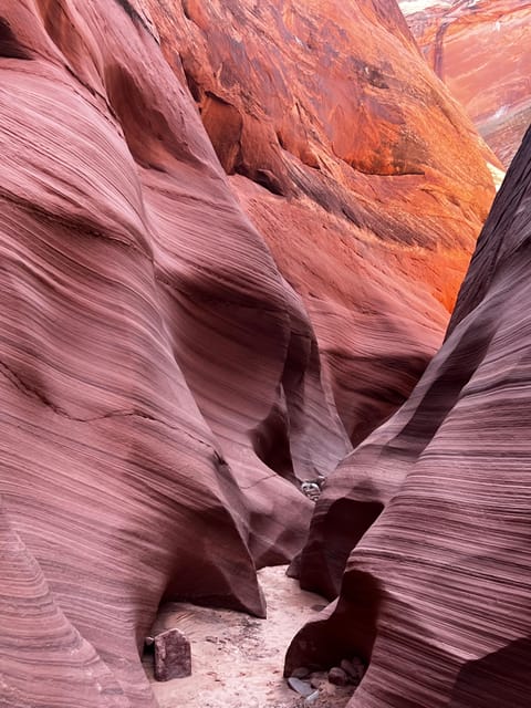 Antelope Canyon Lake Powell: Guided Kayaking & Hike Tour - The swim stop on Lake Powell