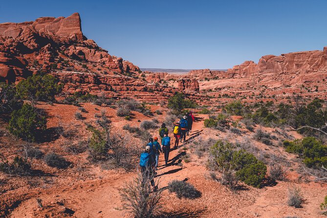 Arches Full Day Private Tour & Hike - What your guide adds beyond transportation