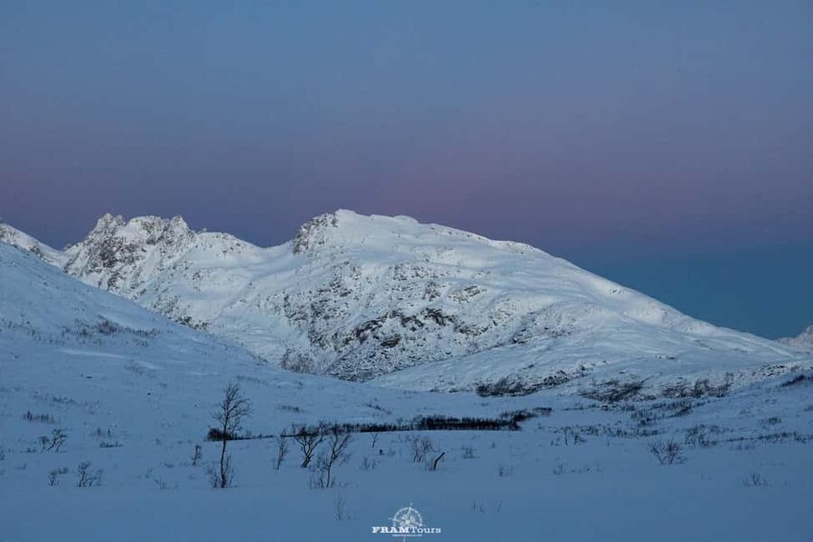 Arctic hike on Kvaløya Island with drinks and snacks - Key points to know before you book