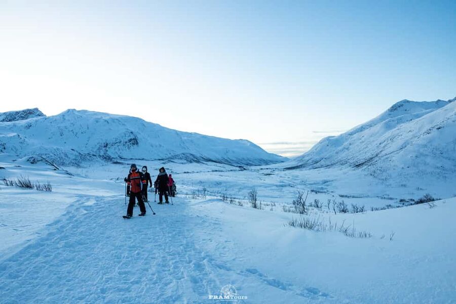 Arctic hike on Kvaløya Island with drinks and snacks - Snowshoeing through hills, woods, and open views