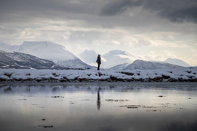 Arctic Landscapes Hiking, Sightseeing & Snowshoeing Private Tour - Key points to know before booking