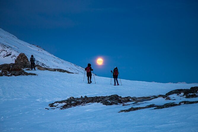 Arctic Landscapes Hiking, Sightseeing & Snowshoeing Private Tour - A five-hour route built around Arctic weather