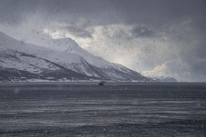 Arctic Landscapes Hiking, Sightseeing & Snowshoeing Private Tour - Viewpoints made for photographs