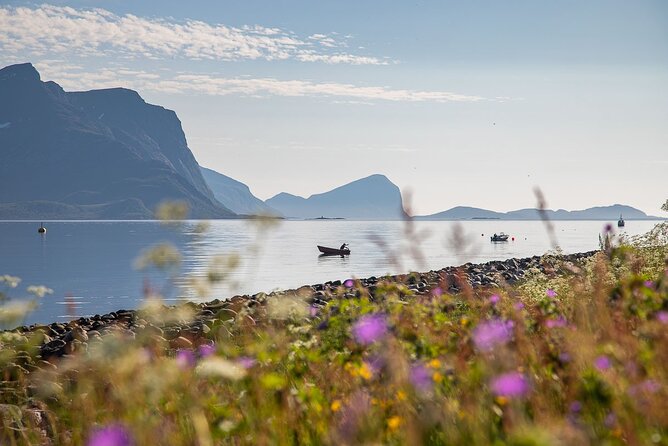 Arctic Landscapes Hiking, Sightseeing & Snowshoeing Private Tour - Why the private format is worth considering