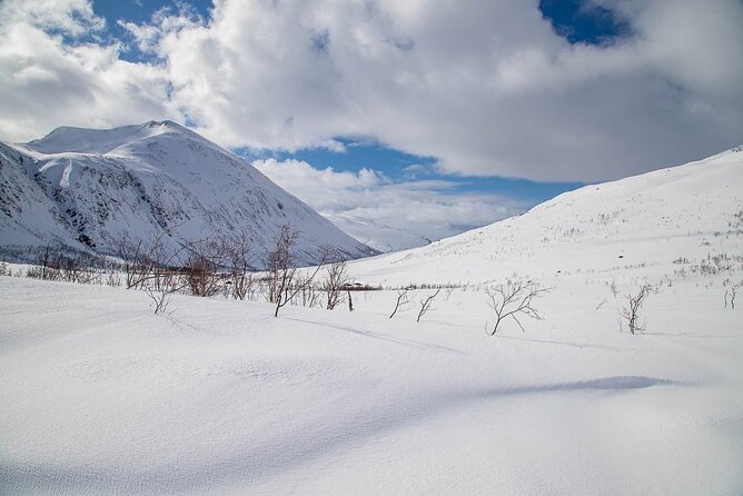 Arctic Landscapes Hiking, Sightseeing & Snowshoeing Private Tour - Who will enjoy this tour most