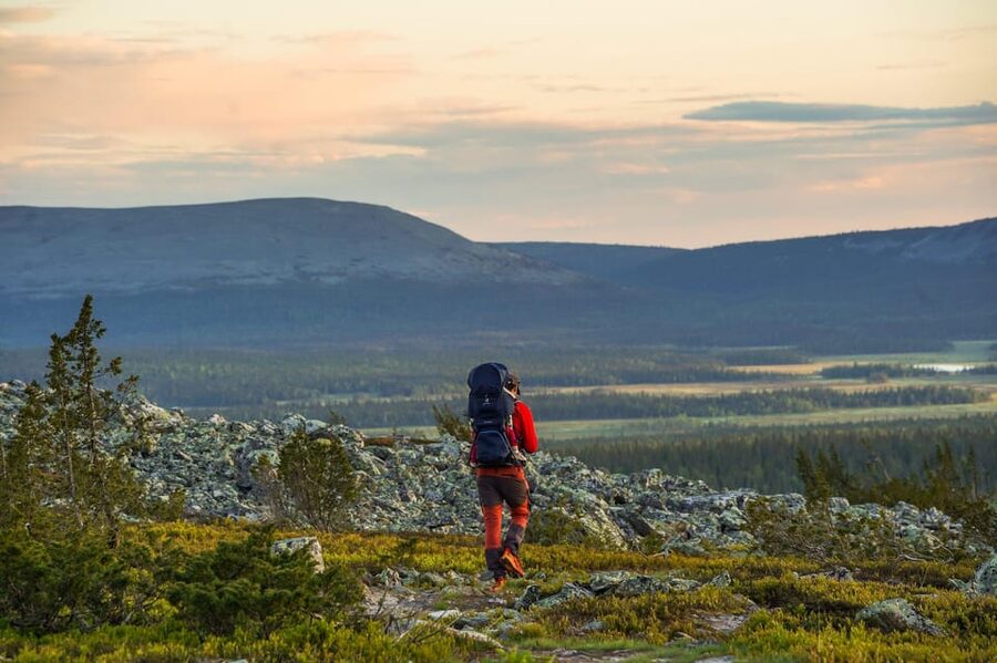 Arctic Wilderness Hike from Rovaniemi (Day & Evening) - Who should book this outing?