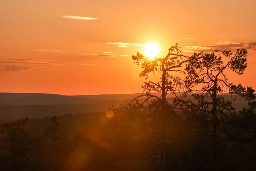 Arctic Wilderness Hike from Rovaniemi (Day & Evening) - What this Arctic hike is really about