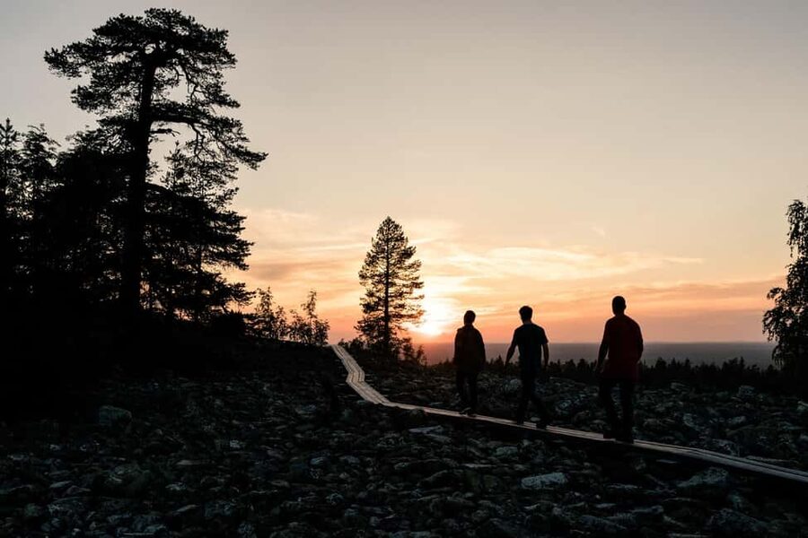 Arctic Wilderness Hike from Rovaniemi (Day & Evening) - A gentle 4 to 5 kilometer route