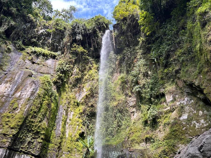 Arusha: Napuru Waterfalls Guided Hike - A waterfall walk with a local feel