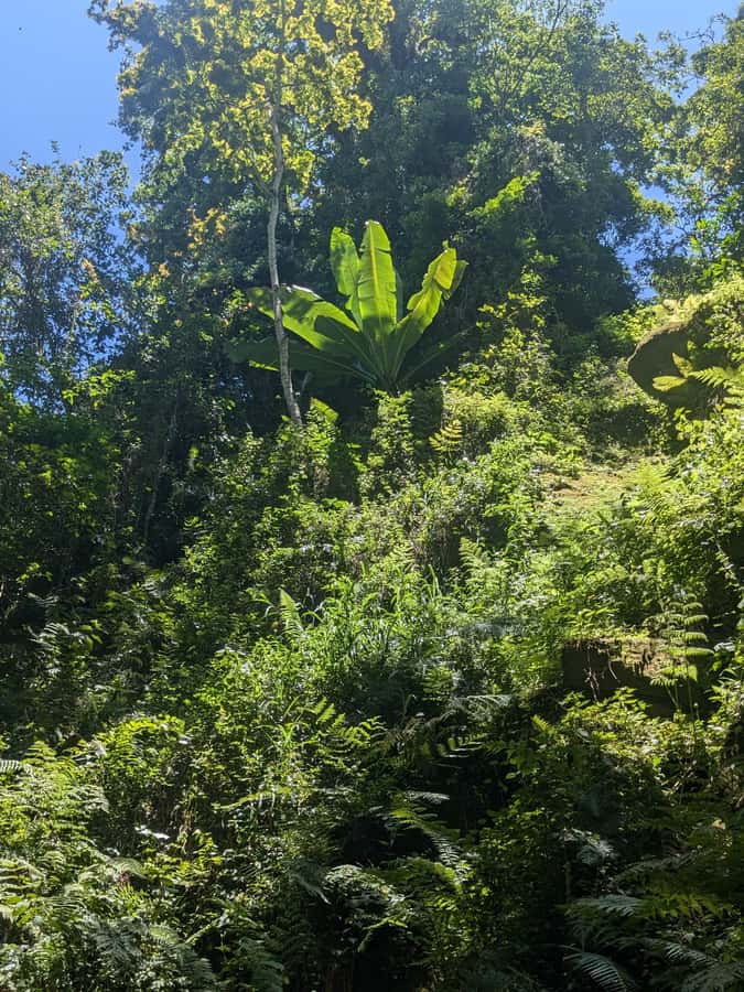 Arusha: Napuru Waterfalls Guided Hike - Who will enjoy this most