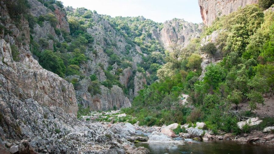 Arzana: Mt. Gennargentu, Piricanis Gorges, & Waterfall Hike - Who Will Enjoy the Piricanis Gorges Most?