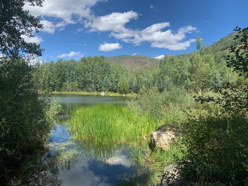 Aspen: Guided Light Hike with Roaring Fork River Views - Key points to know before you book