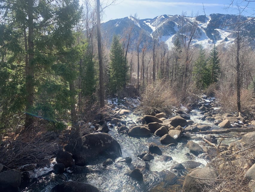 Aspen: Guided Light Hike with Roaring Fork River Views - Starting on Aspen’s brick pedestrian mall