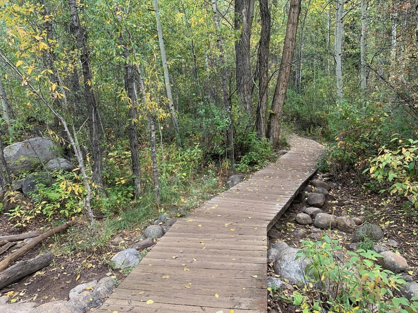 Aspen: Guided Light Hike with Roaring Fork River Views - What the two-hour pace feels like