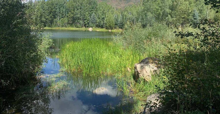 Aspen: Guided Light Hike with Roaring Fork River Views - When to schedule the walk
