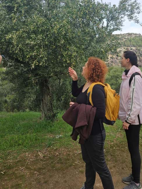 Athens: Mount Hymettus Dragon House Hike - Natalia’s guiding style and group size