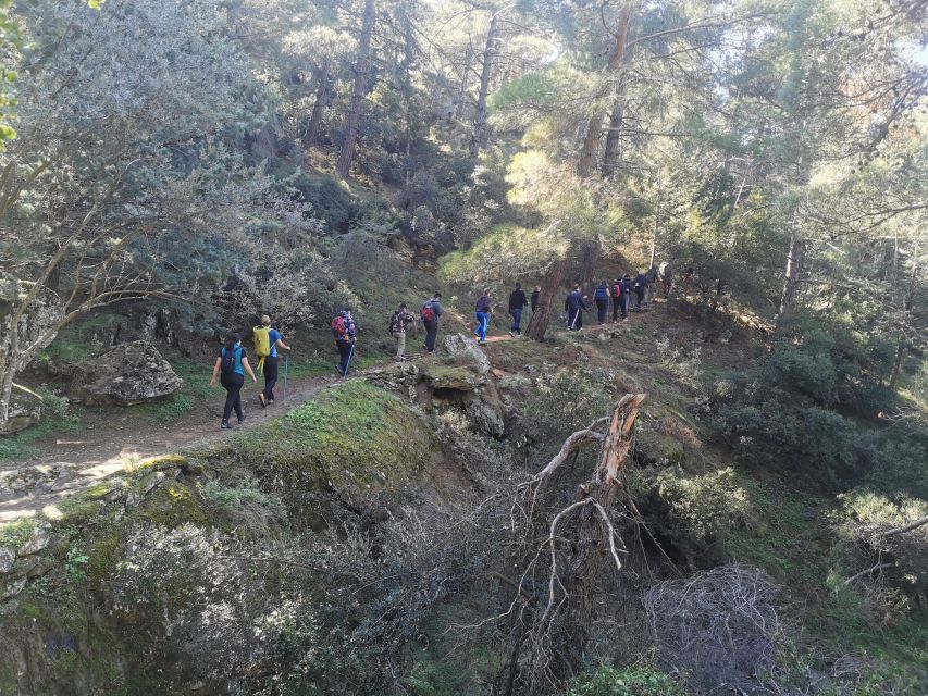 Athens Sunset Hike - Who will enjoy this most?