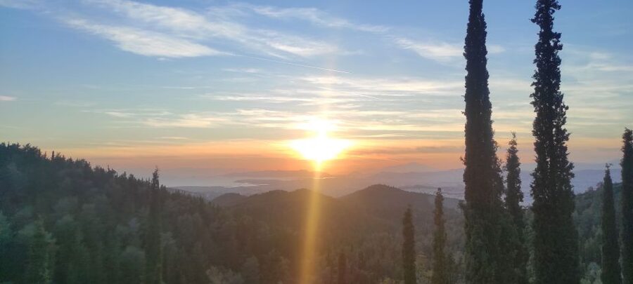 Athens Sunset Hike - The walk through pine forest