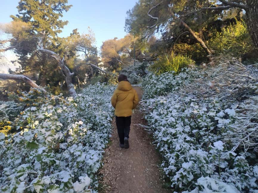 Athens: Ultimate Sunrise Hike - The descent takes a different route