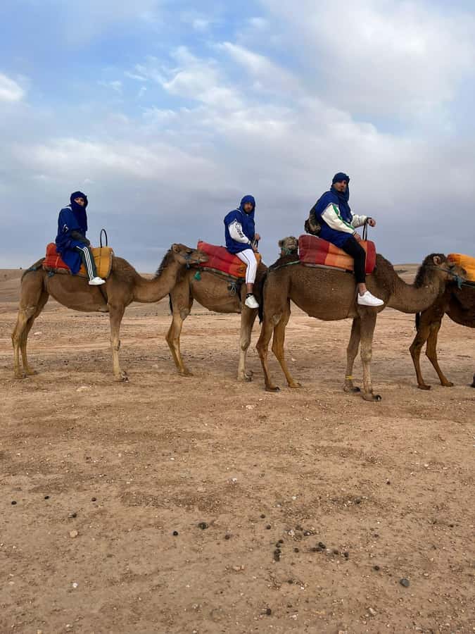 Atlas Mountains/Berber villages/waterfalls/guided hike - Berber culture along the route