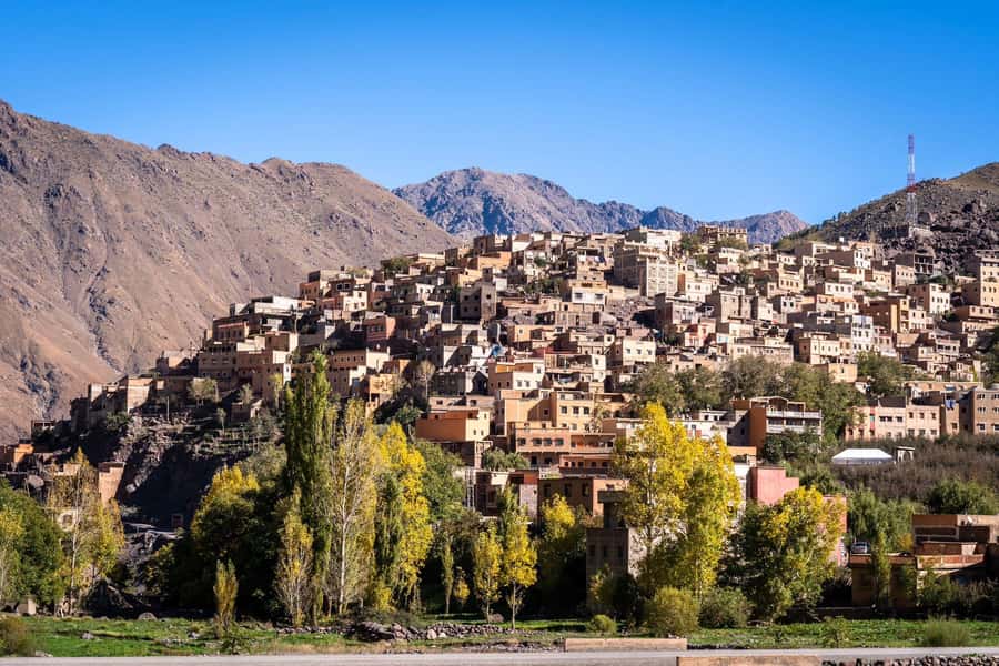 Atlas mountains hike with waterfalls & 3 valleys day trip - The argan oil cooperative stop