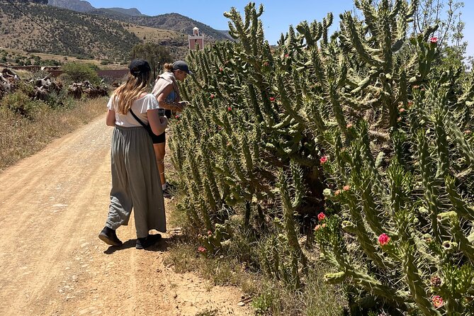 Atlas : Pottery workshop , hiking and swimming Pool - How the Day Feels From Start to Finish