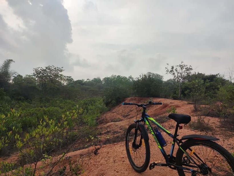 Auroville: Nature Trail Forest Cycling Adventure - Key points at a glance