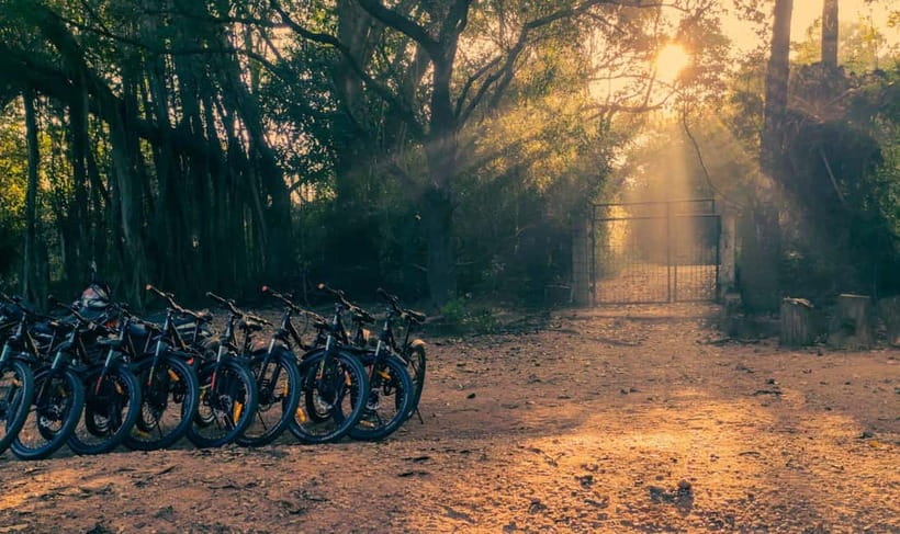 Auroville: Nature Trail Forest Cycling Adventure - Why the ride and hike work so well together