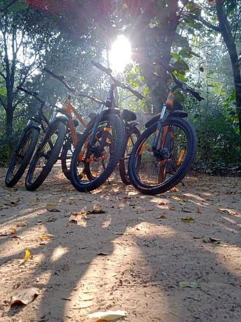 Auroville: Nature Trail Forest Cycling Adventure - First 45 minutes on two wheels