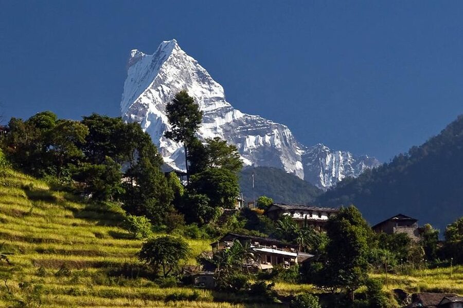 Australian Base Camp Day Hike From Pokhara - Key points to know before you book
