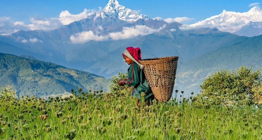 Australian Base Camp Hike For Sunrise over the Himalayas - Practical advice before you go
