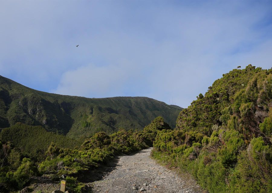 Azores: São Miguel and Lagoa do Fogo Hiking Trip - From Ponta Delgada to Água D’Alto