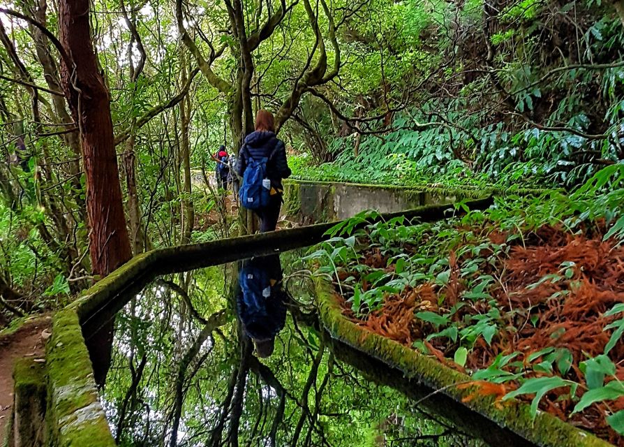 Azores: São Miguel and Lagoa do Fogo Hiking Trip - What to pack for a wet mountain day