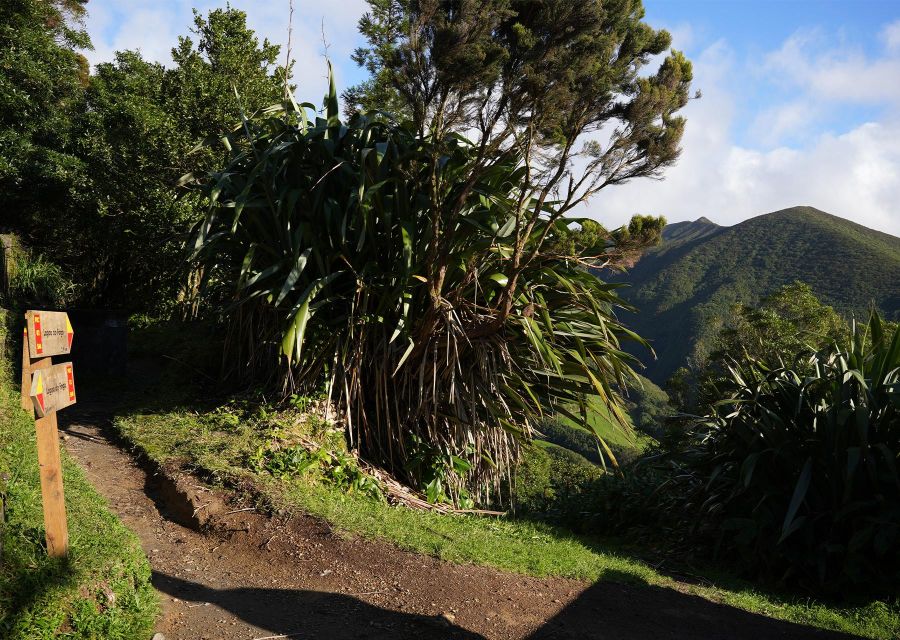 Azores: São Miguel and Lagoa do Fogo Hiking Trip - Reaching Lagoa do Fogo