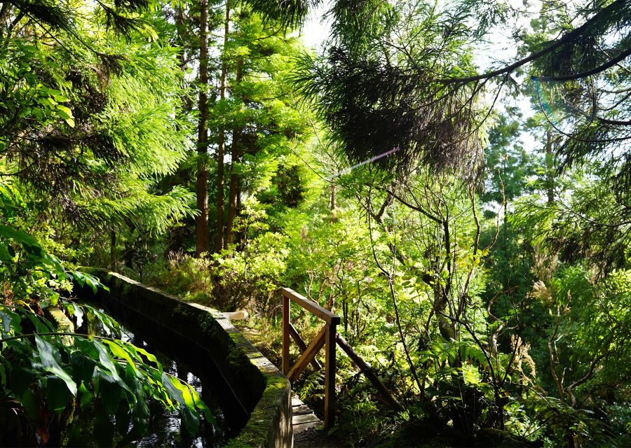 Azores: São Miguel and Lagoa do Fogo Hiking Trip - Is $76 good value?