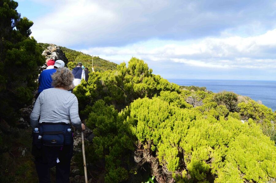 Baías de Agualva hiking - Terceira island - Who should book this hike?
