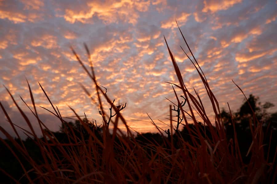 Bali: Mount Batur Entry Ticket on a Guided Hike or Jeep Ride - Key points at a glance