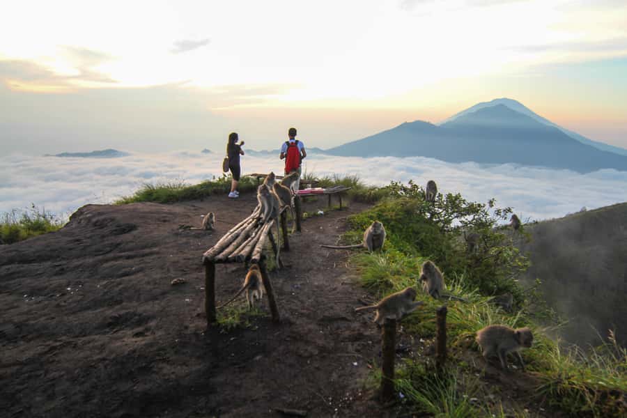 Bali: Mount Batur Sunrise Hike and Hidden Waterfall - The descent and Mt. Batur Lounge