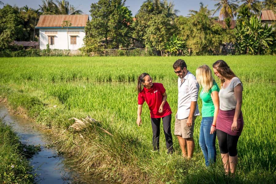 Bali: Rice Terraces Guided Hiking Experience - What this Kerobokan rice terrace walk is really about