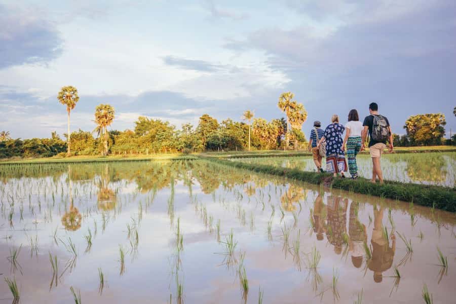 Bali: Rice Terraces Guided Hiking Experience - The subak system, explained beside the fields