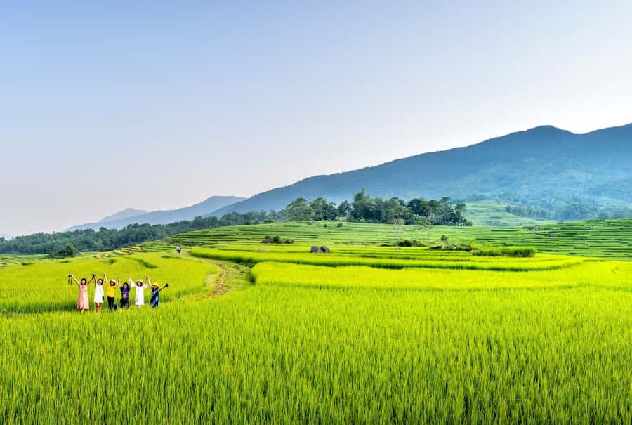 Bali: Rice Terraces Guided Hiking Experience - Coconut water, coffee, and a simple finish