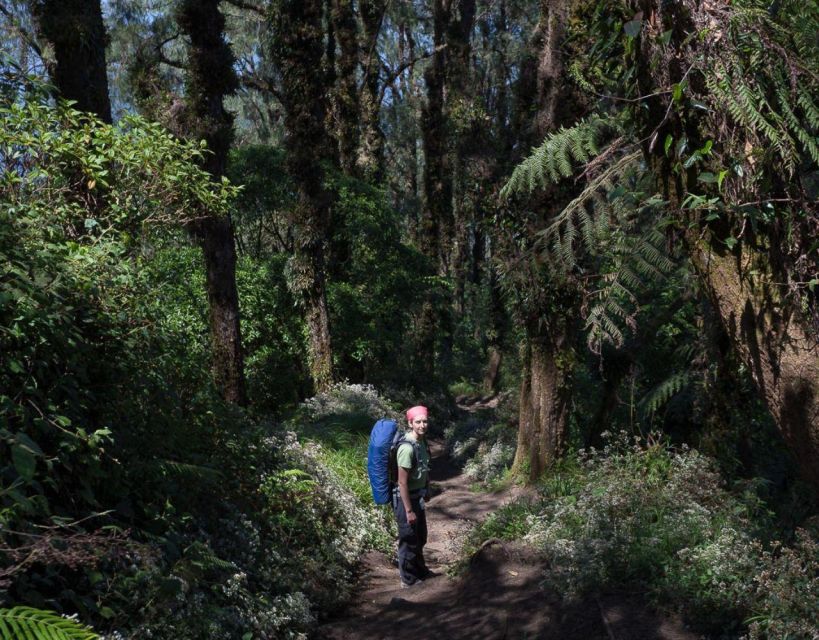 Bali's Mount Abang Expedition: Guided Hike - Summit views and a proper pause at the top
