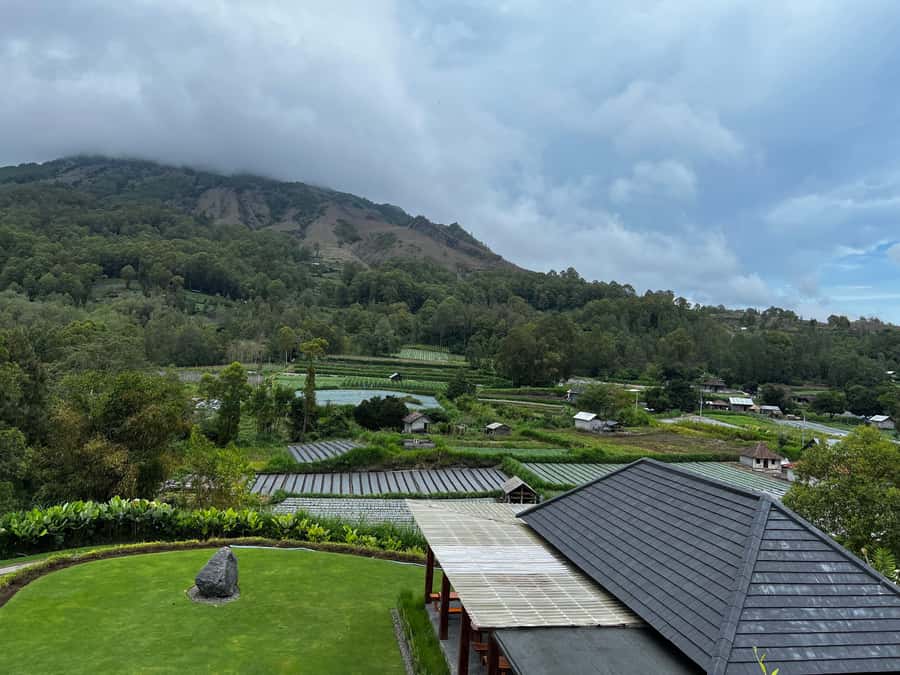 Bali: Sunrise Hike at Mount Batur with Bali Swing - Sampling Luwak coffee in traditional ways