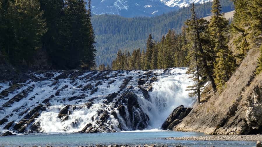 Banff: Gondola Ticket and Johnston Canyon Hiking Tour - A big Banff day for first-time visitors