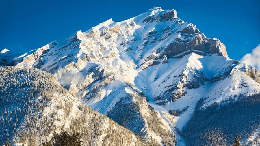 Banff: Gondola Ticket and Johnston Canyon Hiking Tour - Bow Falls and Surprise Corner