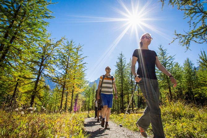 Banff National Park Guided Hike with Lunch - Booking, pickup, and cancellation details